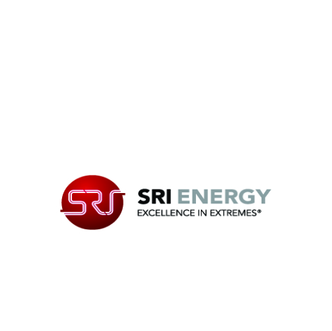 logo 9